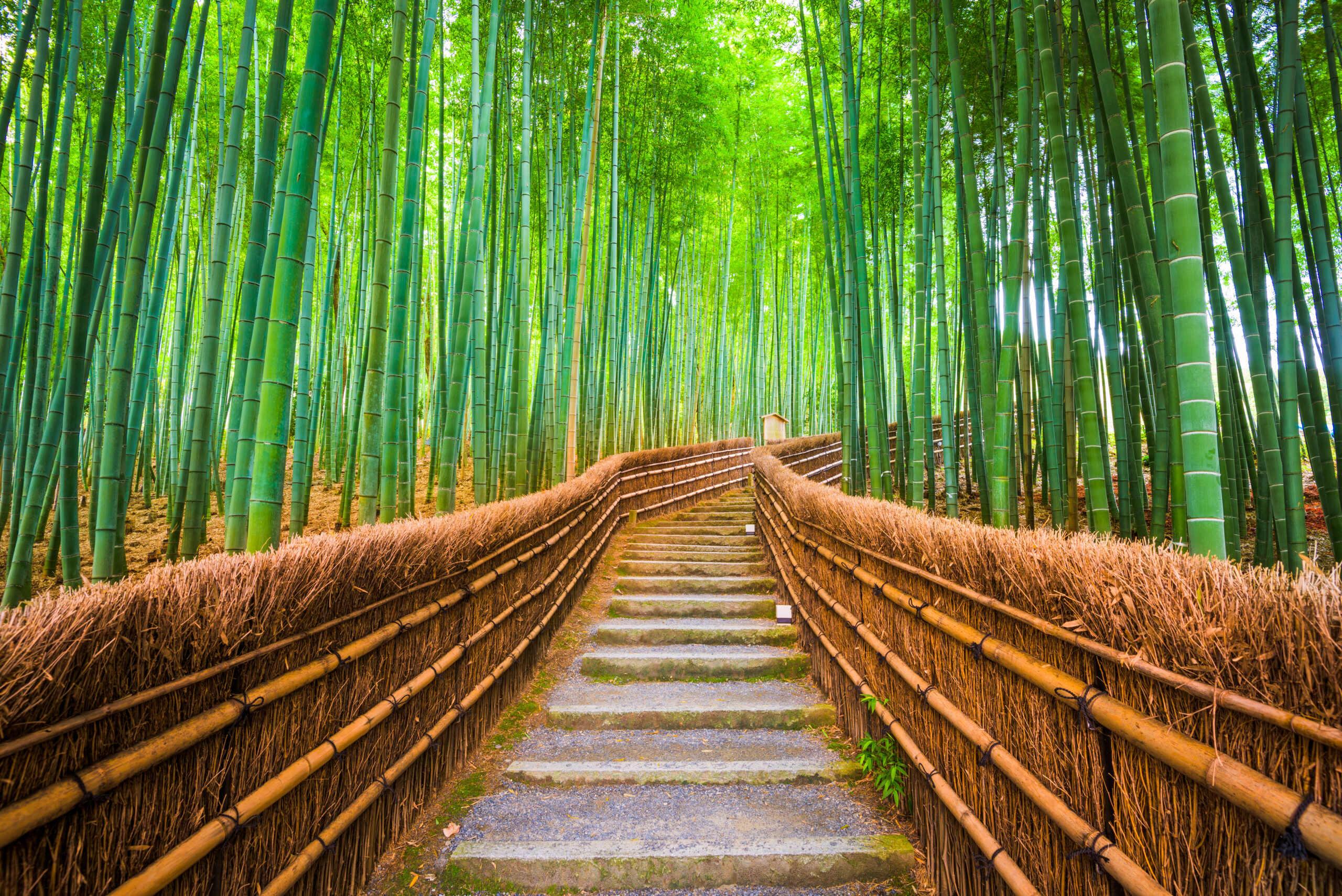 VIAJE A JAPÓN 10 DÍAS EN PAREJA